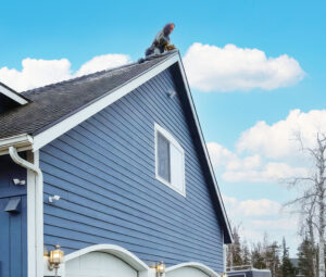 Residential Roof Repair by a trusted general contractor based in Wasilla, Alaska