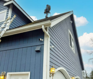 Residential Roof Repair in Wasilla, Alaska by Working Hands LLC