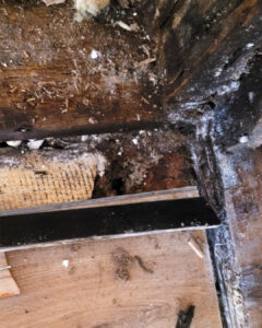 repair project: dry rot on a wall caused by water damage at a local business in Wasilla, Alaska