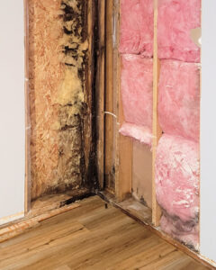 dry rot on a wall caused by water damage at a local business in Wasilla, Alaska